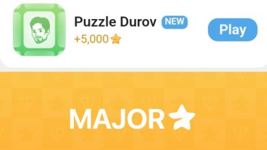 puzzle durov